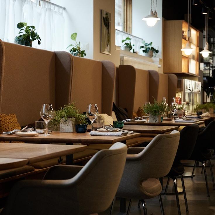 School choices for expat families in Amsterdam, Netherlands